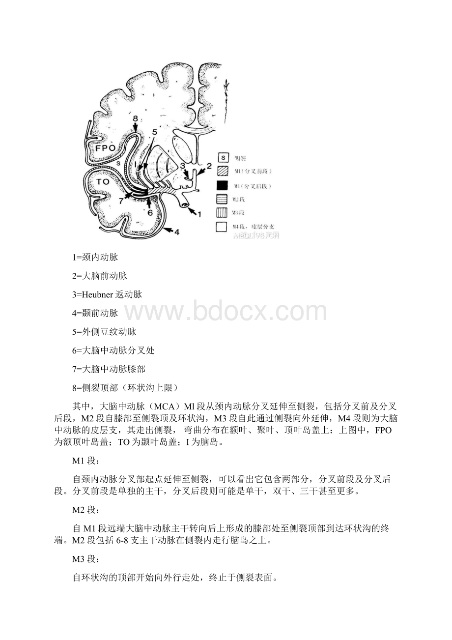 大脑中动脉分段.docx_第2页