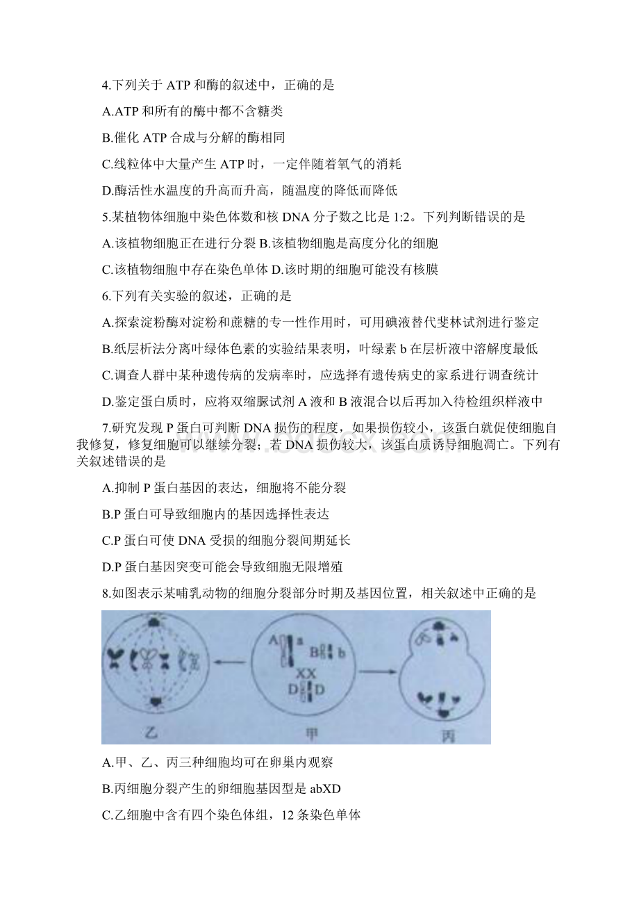 黑龙江齐齐哈尔市五校联谊届高三上学期期末联考生物试题Word版含答案.docx_第2页