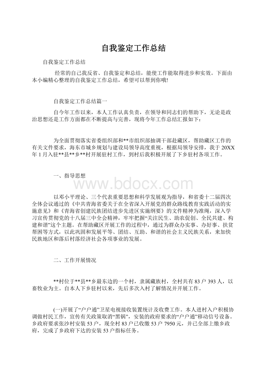 自我鉴定工作总结Word格式.docx