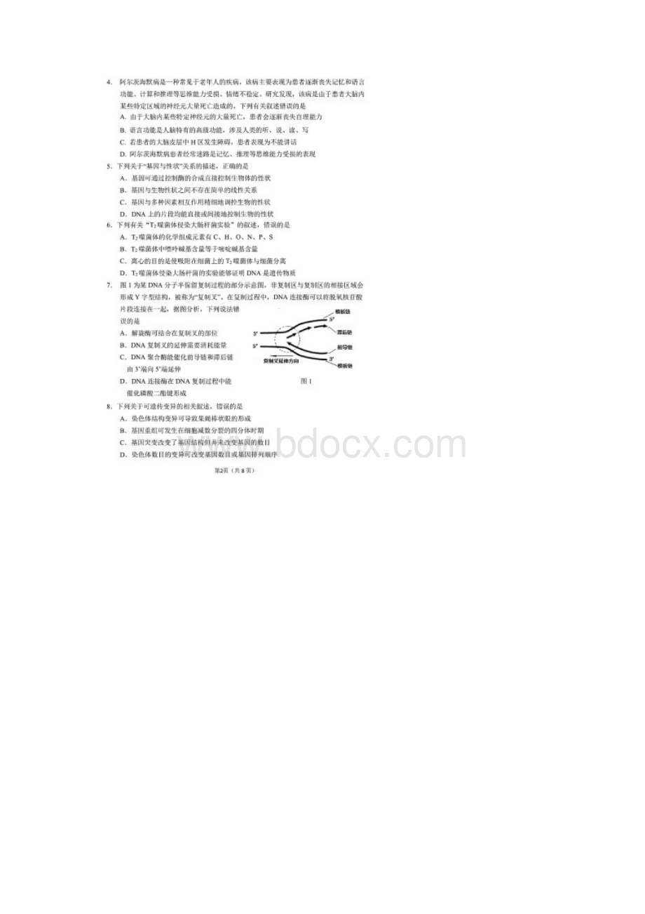 辽宁省沈阳市届高三一模生物试题含答案解析Word文件下载.docx_第2页