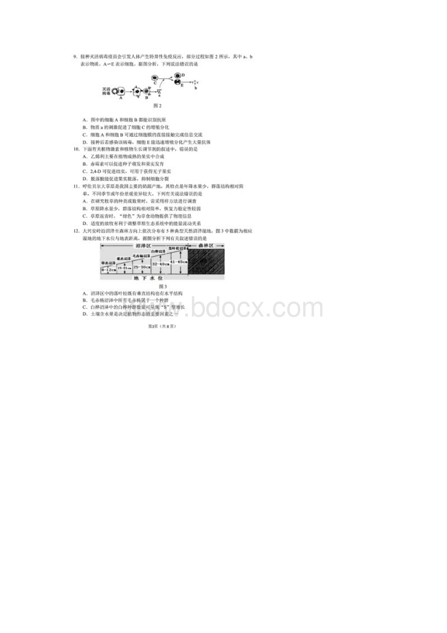 辽宁省沈阳市届高三一模生物试题含答案解析Word文件下载.docx_第3页