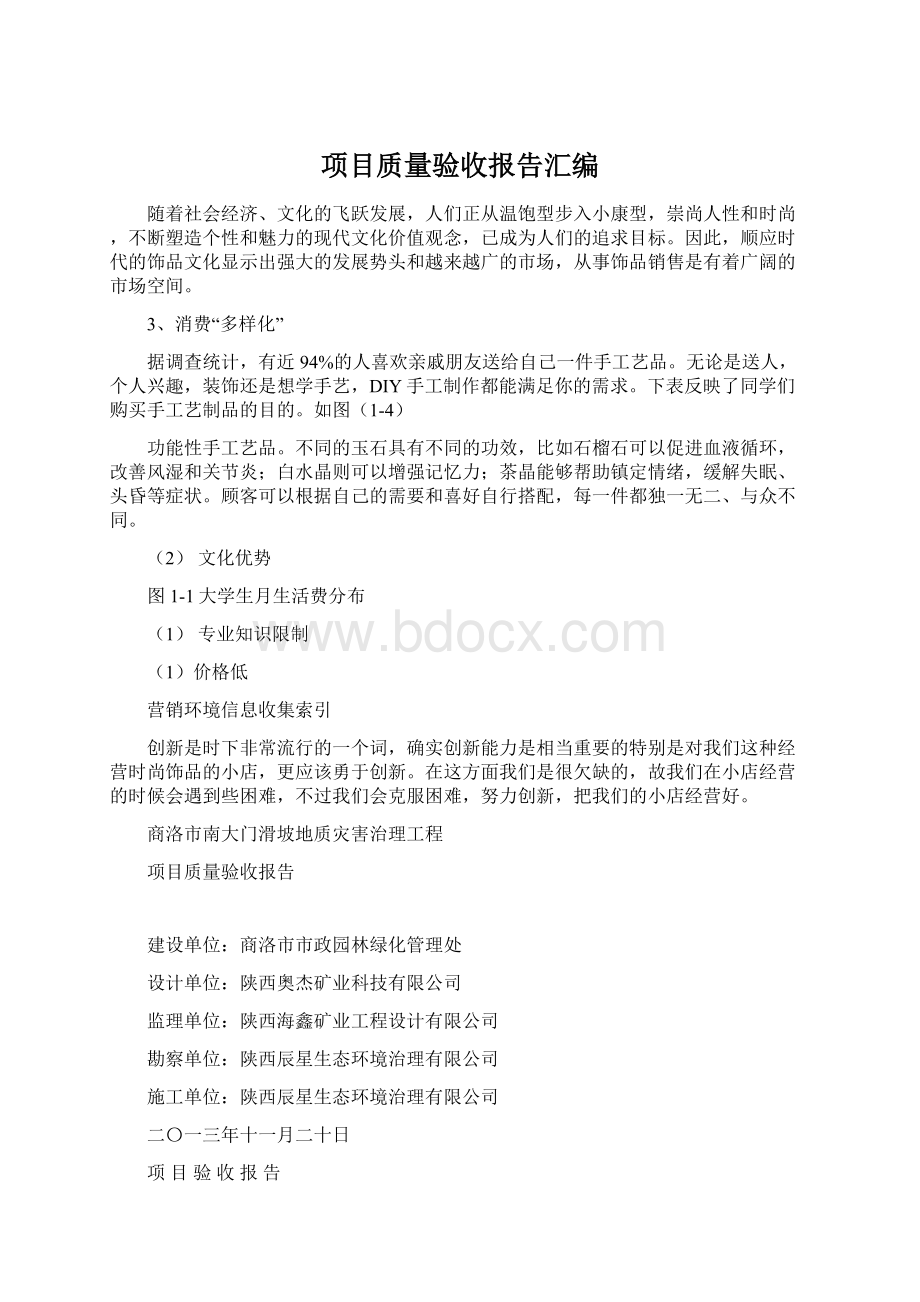 项目质量验收报告汇编.docx_第1页