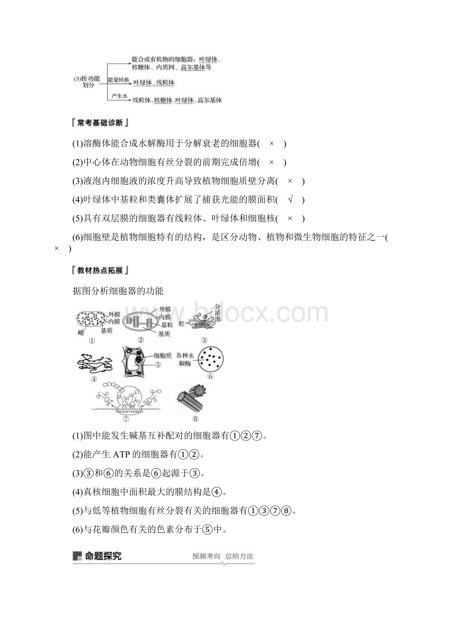 届高考高三生物总复习第5讲细胞器和生物膜系统学案含答案整理版docWord文件下载.docx_第3页