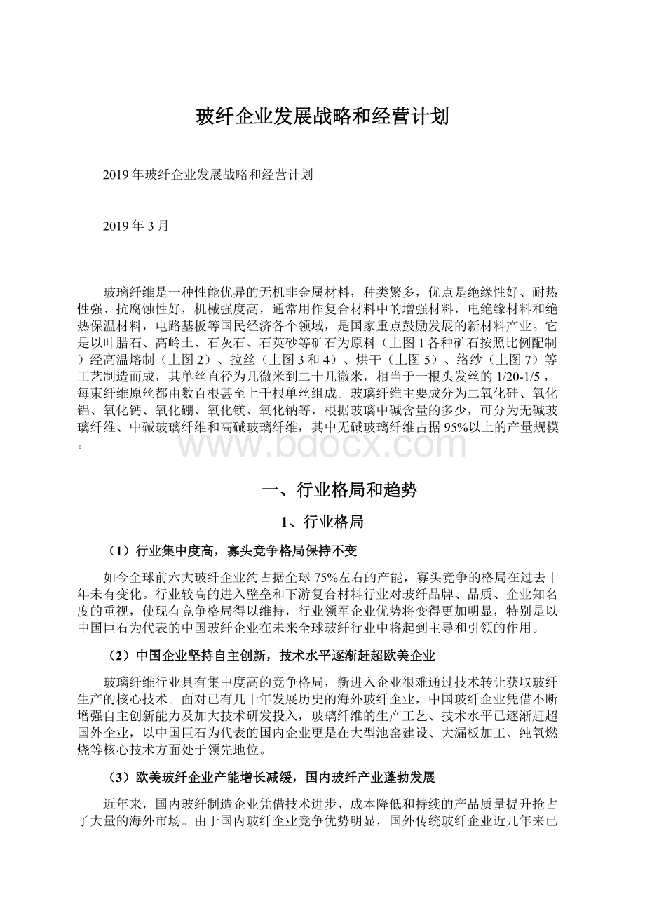 玻纤企业发展战略和经营计划.docx