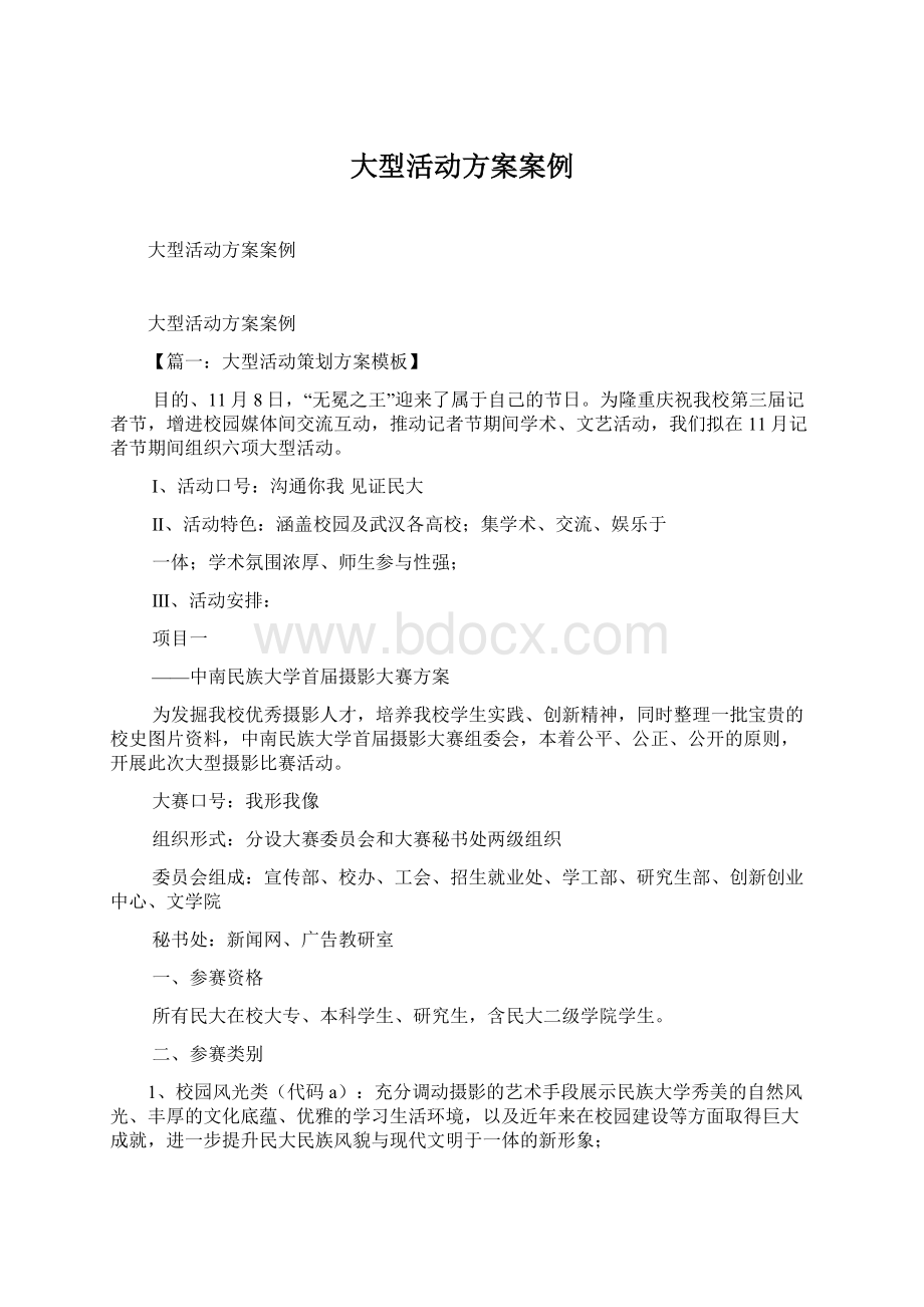 大型活动方案案例文档格式.docx