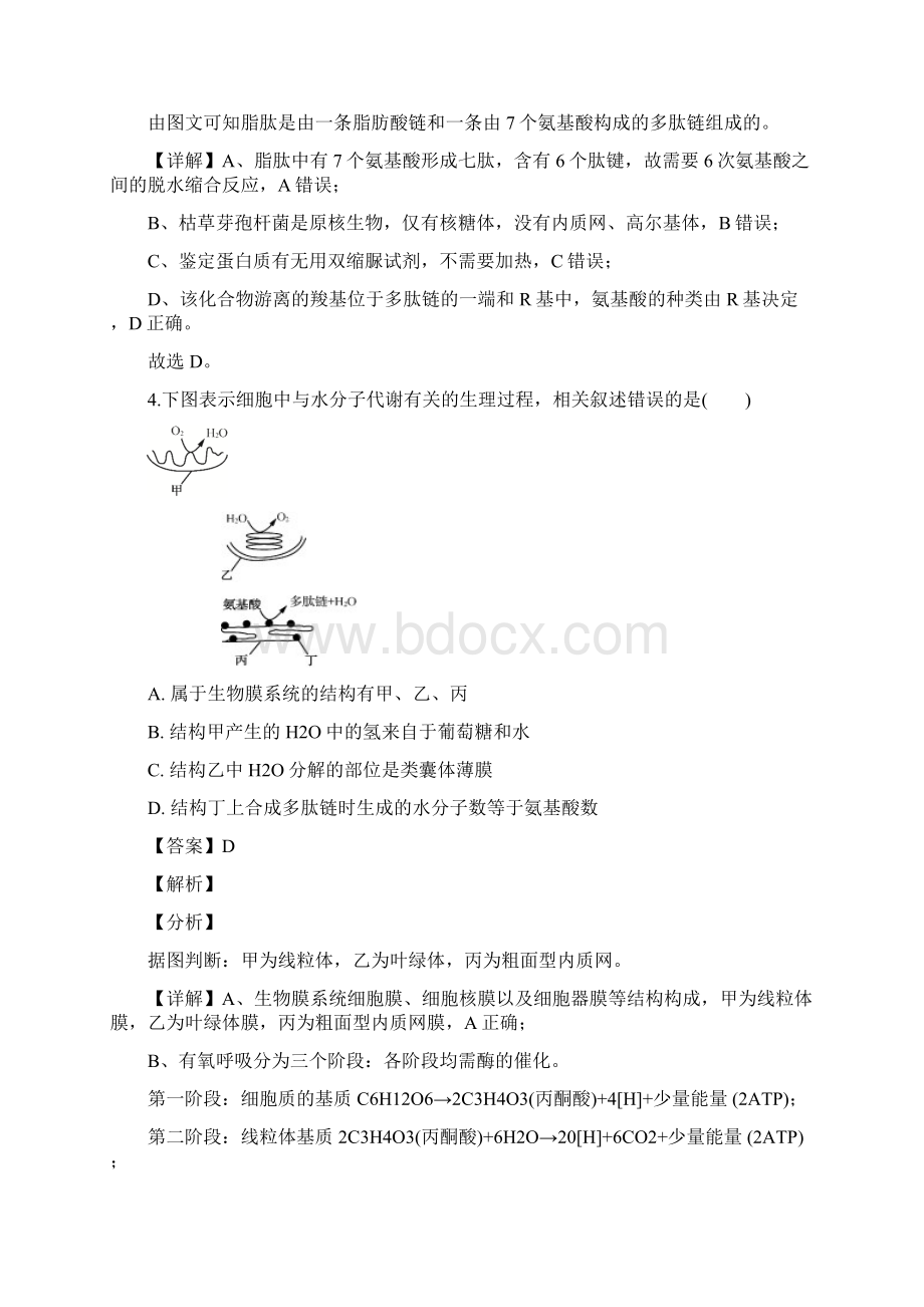 届江苏省苏锡常镇四市高三下学期第二次模拟考试生物试题解析版.docx_第3页