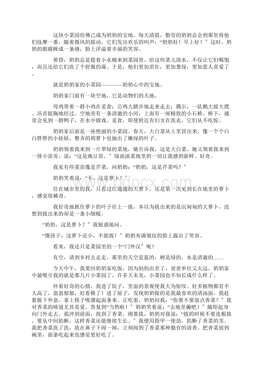 奶奶家的菜园作文精选Word格式.docx_第2页