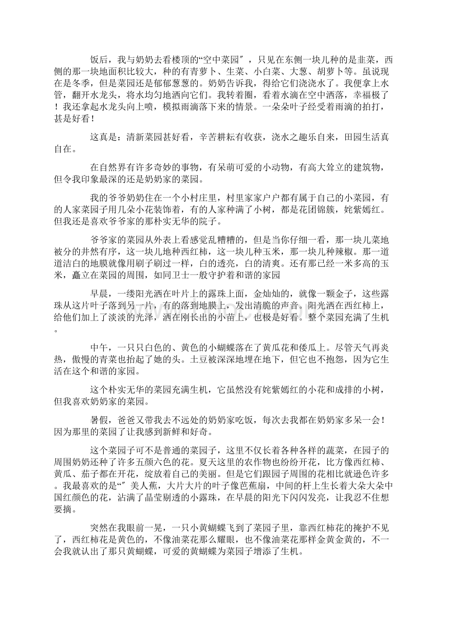 奶奶家的菜园作文精选Word格式.docx_第3页