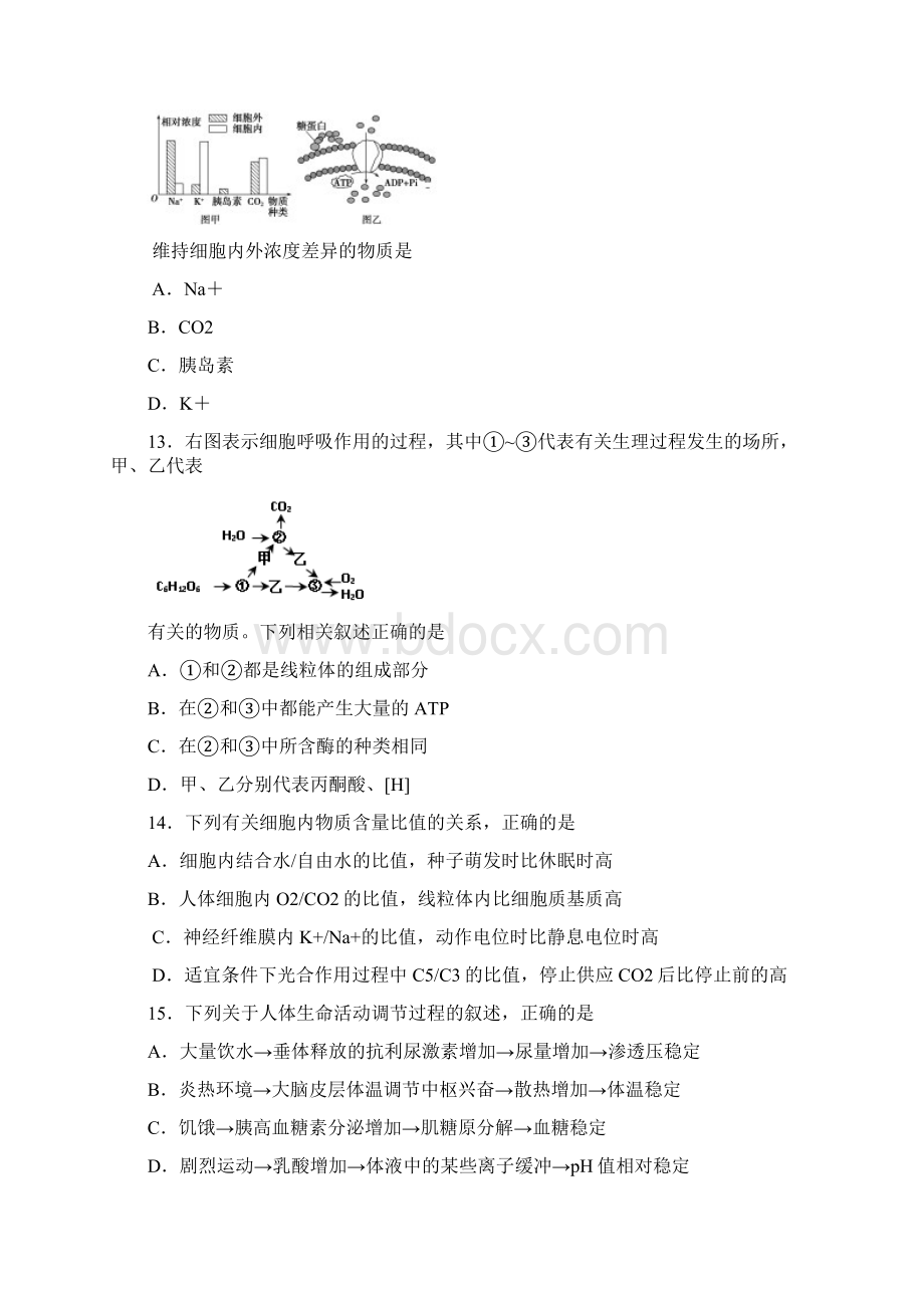 上海市黄浦区届高三生命科学上学期期末调研测试试.docx_第3页