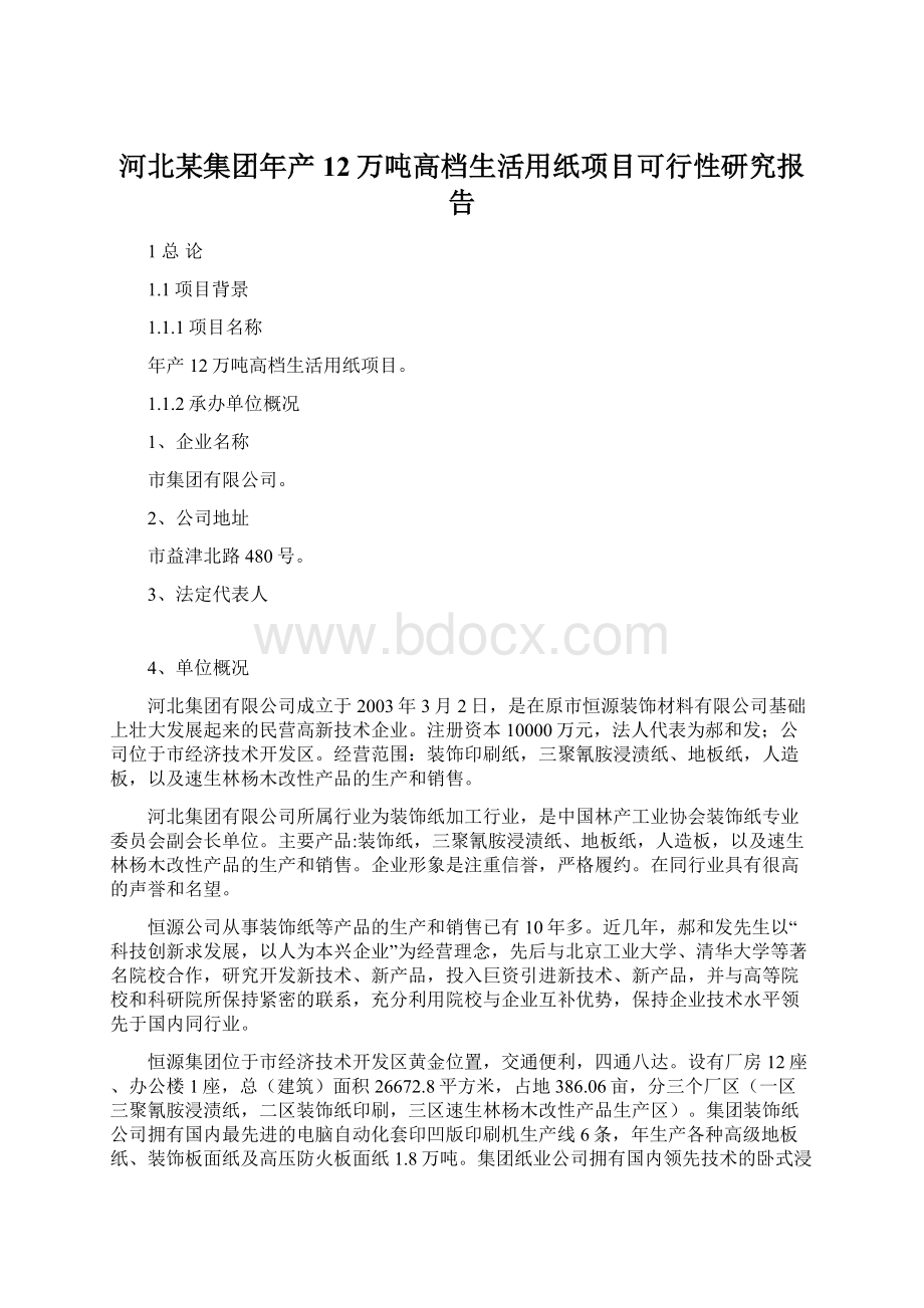 河北某集团年产12万吨高档生活用纸项目可行性研究报告.docx_第1页