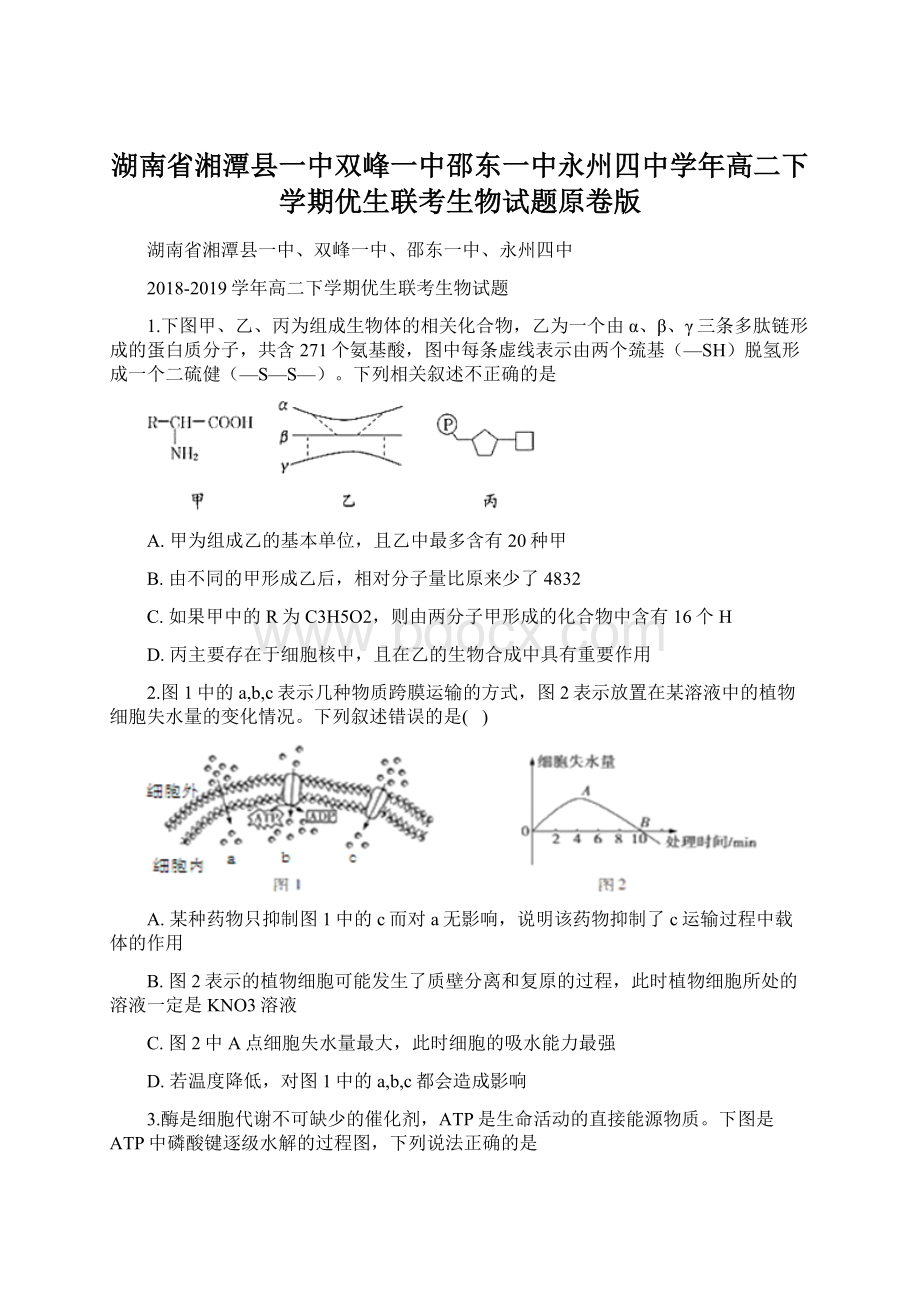 湖南省湘潭县一中双峰一中邵东一中永州四中学年高二下学期优生联考生物试题原卷版.docx