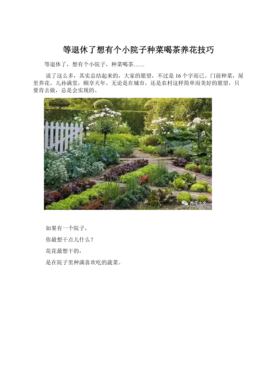 等退休了想有个小院子种菜喝茶养花技巧Word文档下载推荐.docx