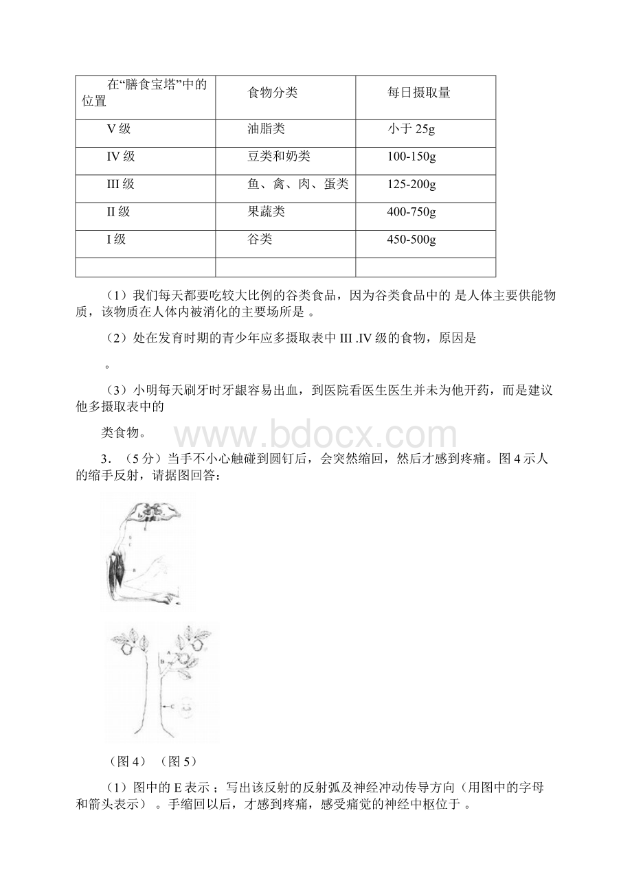 初中生物实验探究题练习Word格式文档下载.docx_第2页