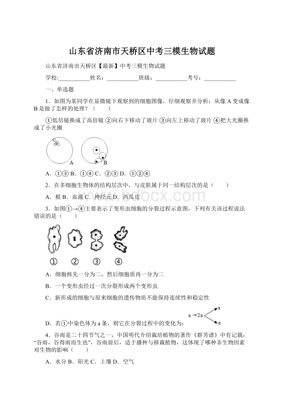 山东省济南市天桥区中考三模生物试题Word下载.docx_第1页