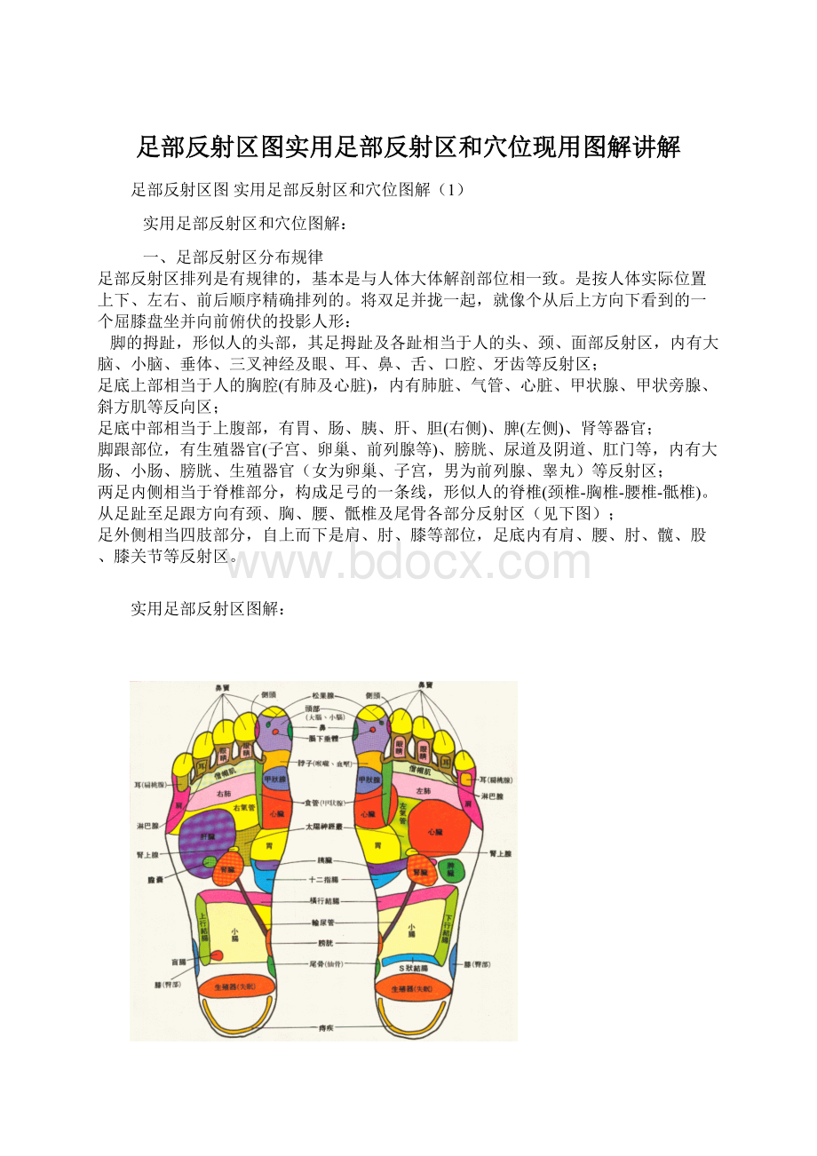 足部反射区图实用足部反射区和穴位现用图解讲解.docx