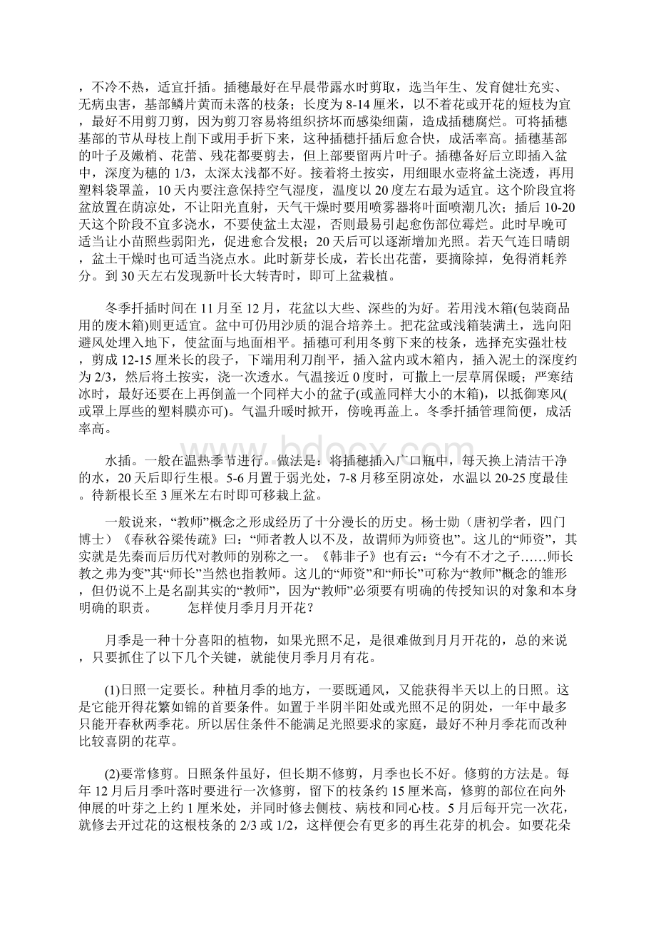 月季花喜爱怎样的生长环境共38页文档Word文档下载推荐.docx_第2页