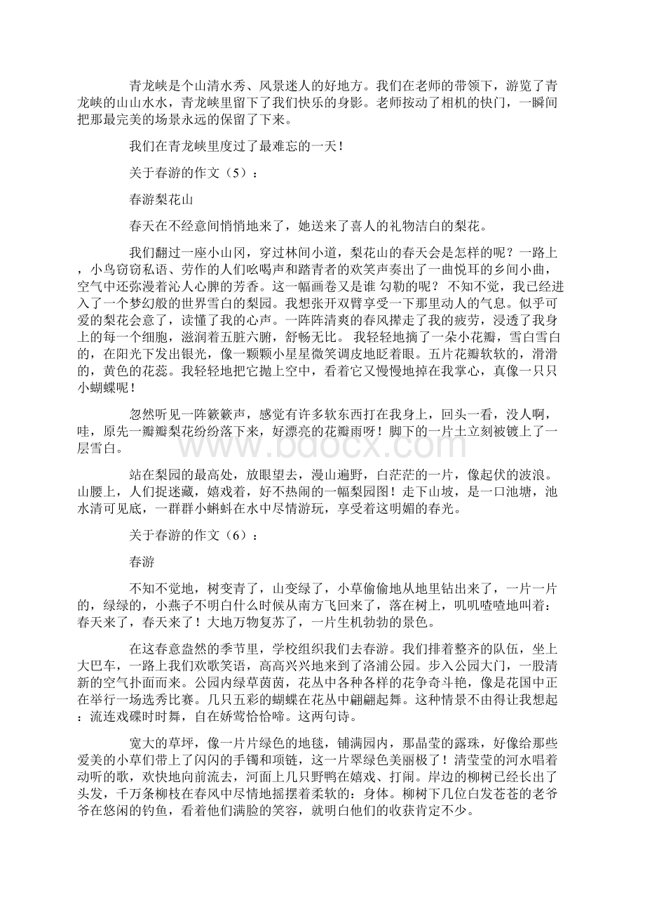 关于春游的作文 2.docx_第3页