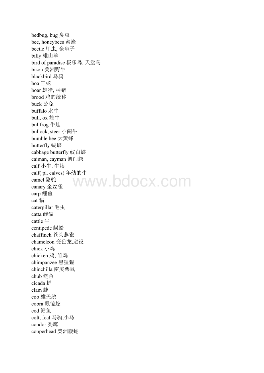 动物英语词汇大全Word格式文档下载.docx_第3页