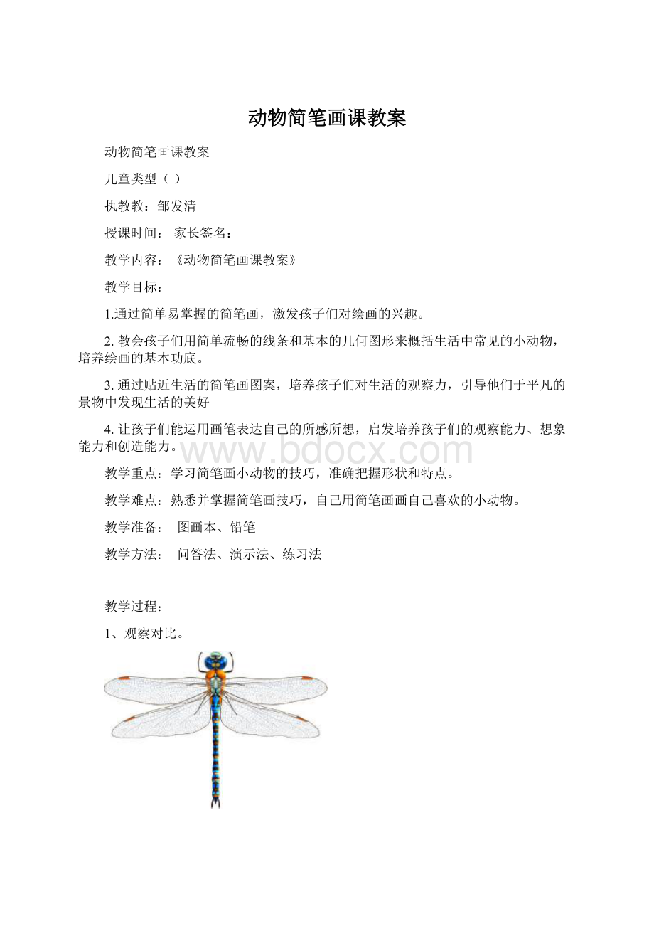 动物简笔画课教案.docx_第1页