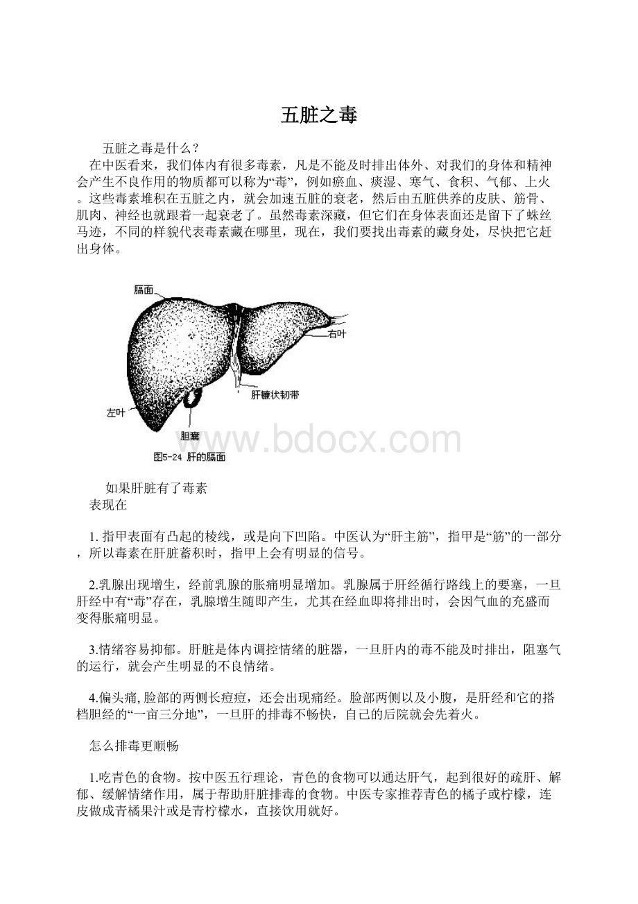 五脏之毒Word格式.docx