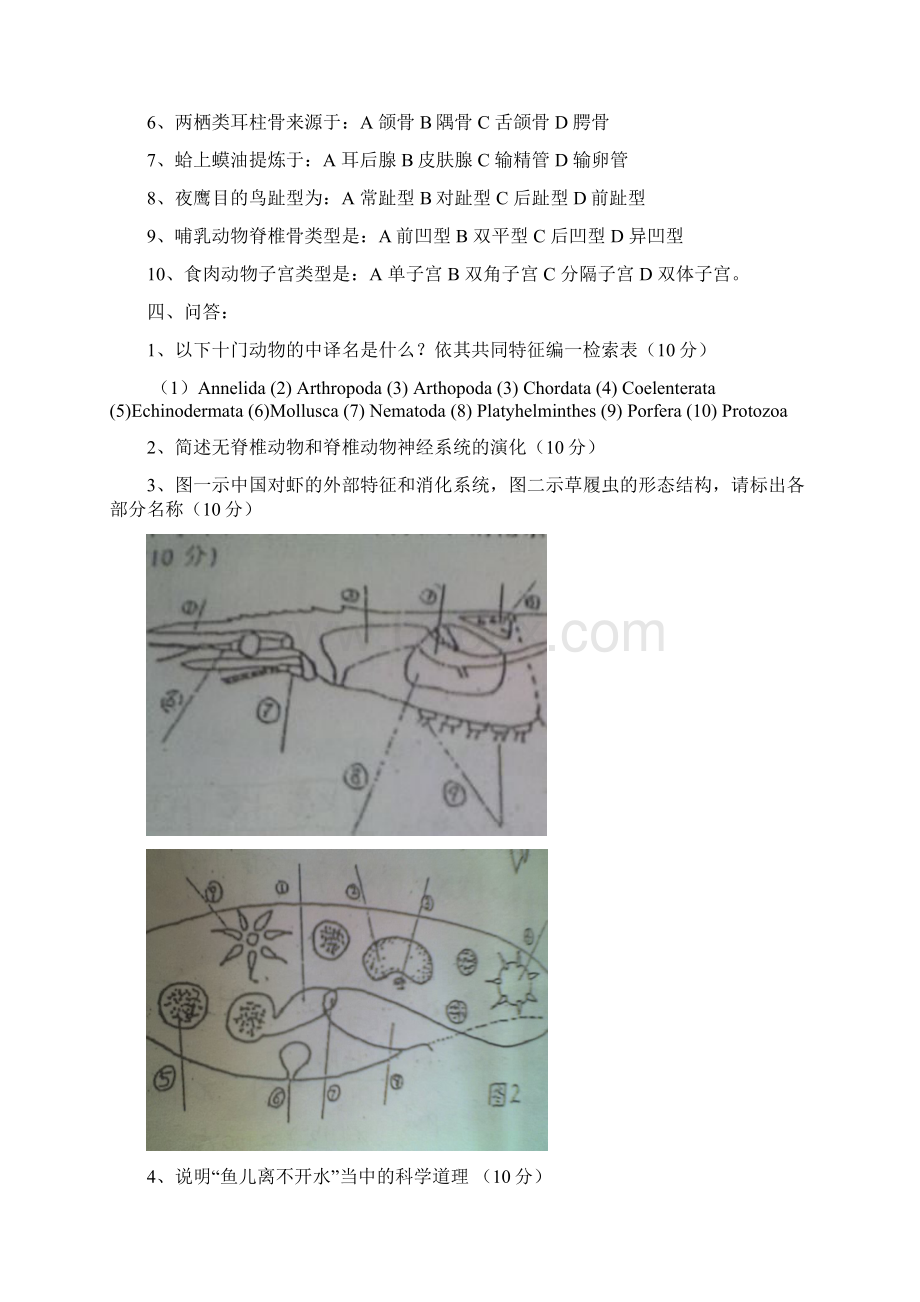 0012普通动物学和生态学真题Word格式文档下载.docx_第2页