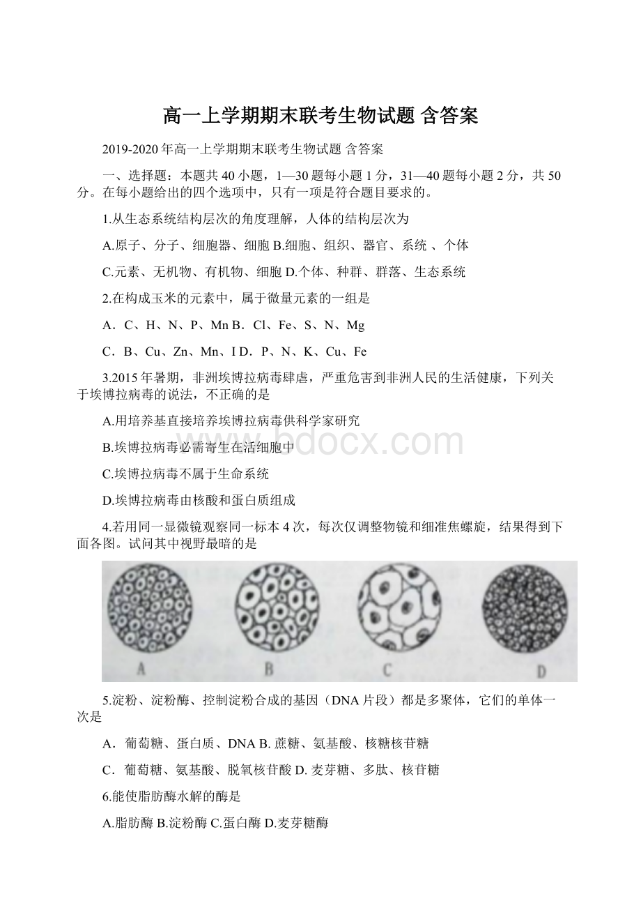 高一上学期期末联考生物试题 含答案文档格式.docx_第1页