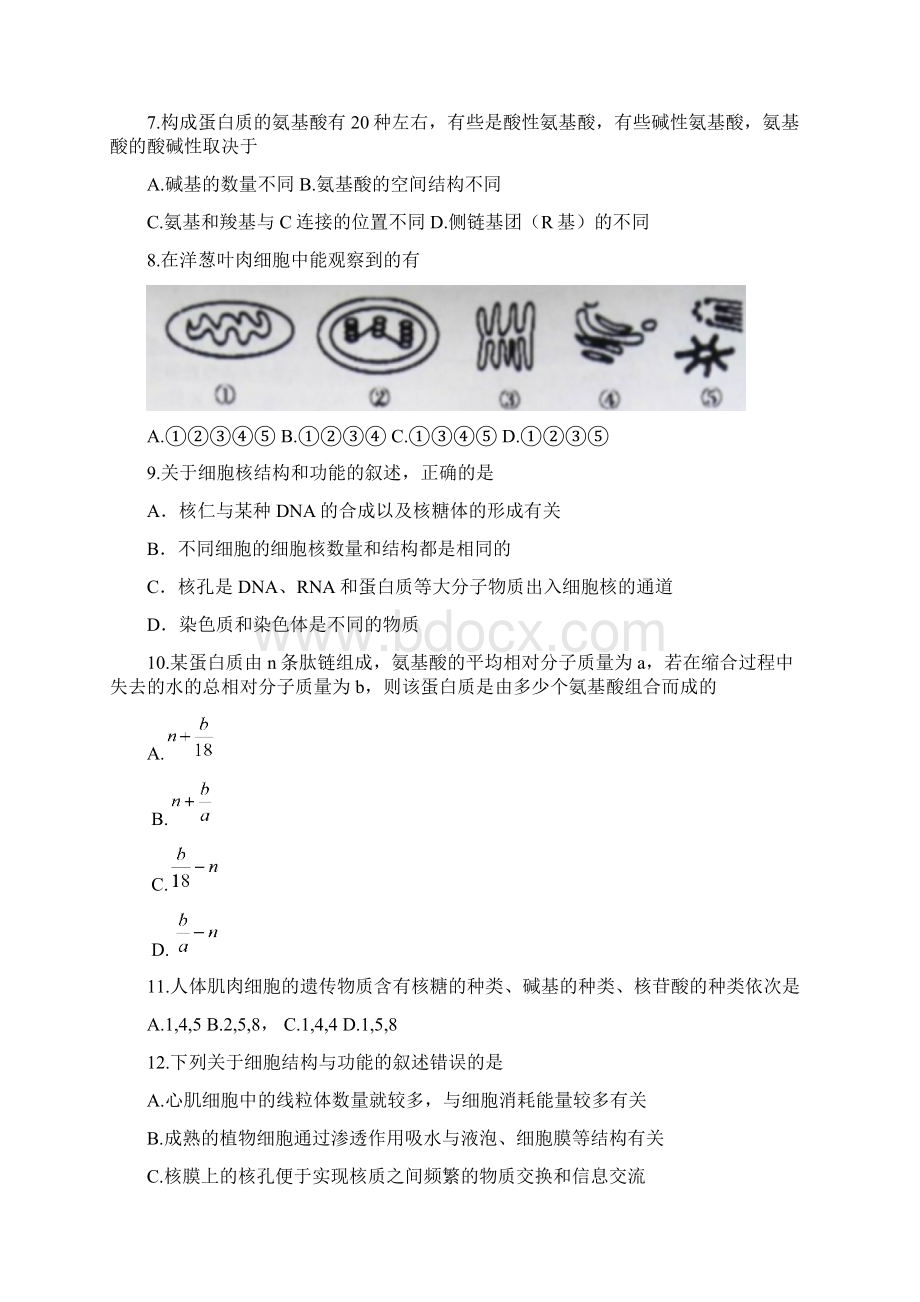 高一上学期期末联考生物试题 含答案文档格式.docx_第2页