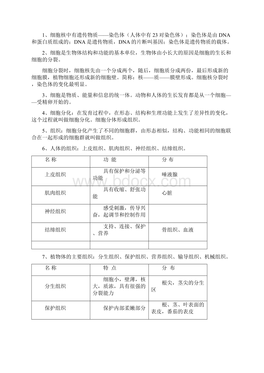 新人教版七年级生物上册知识要点提纲Word文档格式.docx_第3页