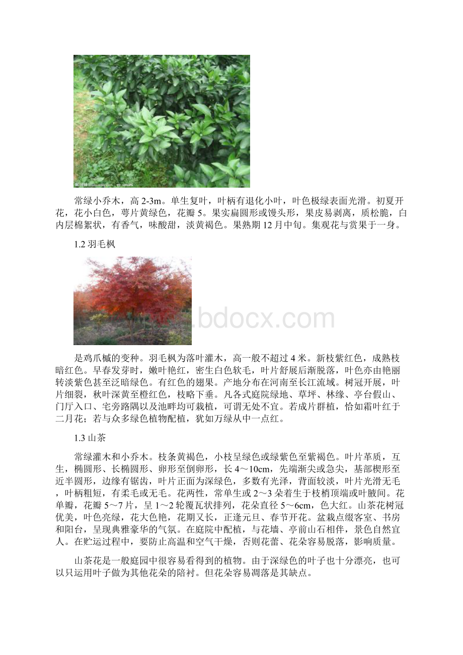 景观植物学参观实习二实习报告.docx_第2页