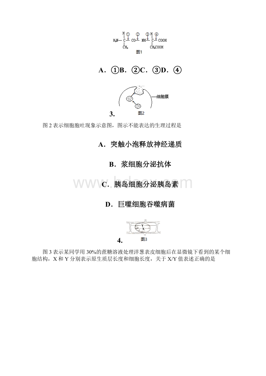 上海市金山区届高三生命科学上学期期末质量监控试题Word文档下载推荐.docx_第2页