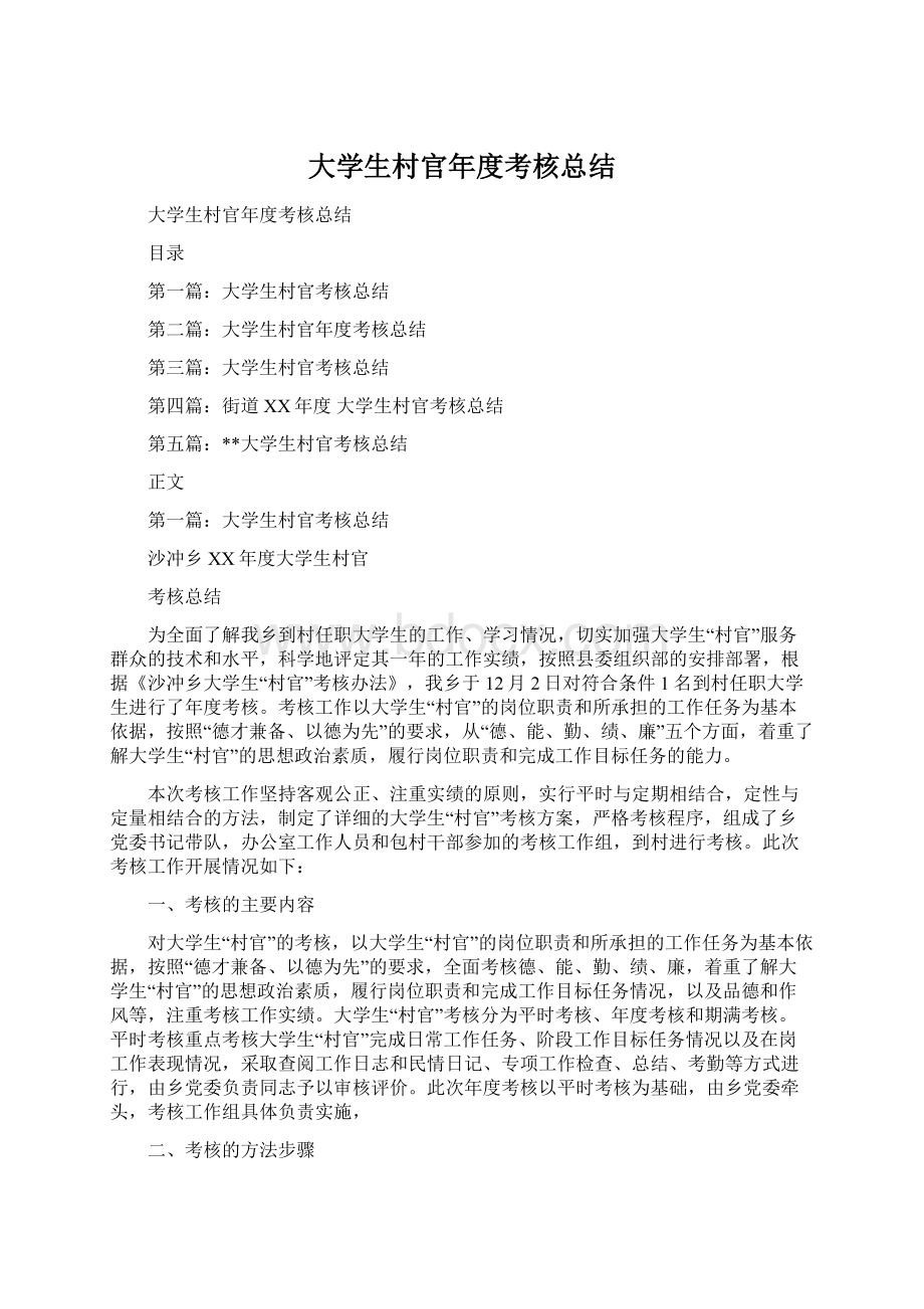 大学生村官年度考核总结Word文档下载推荐.docx