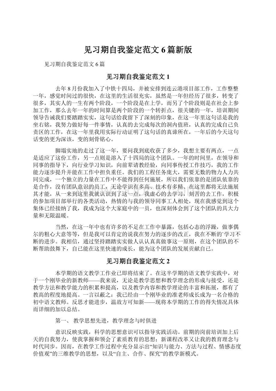 见习期自我鉴定范文6篇新版Word文档格式.docx