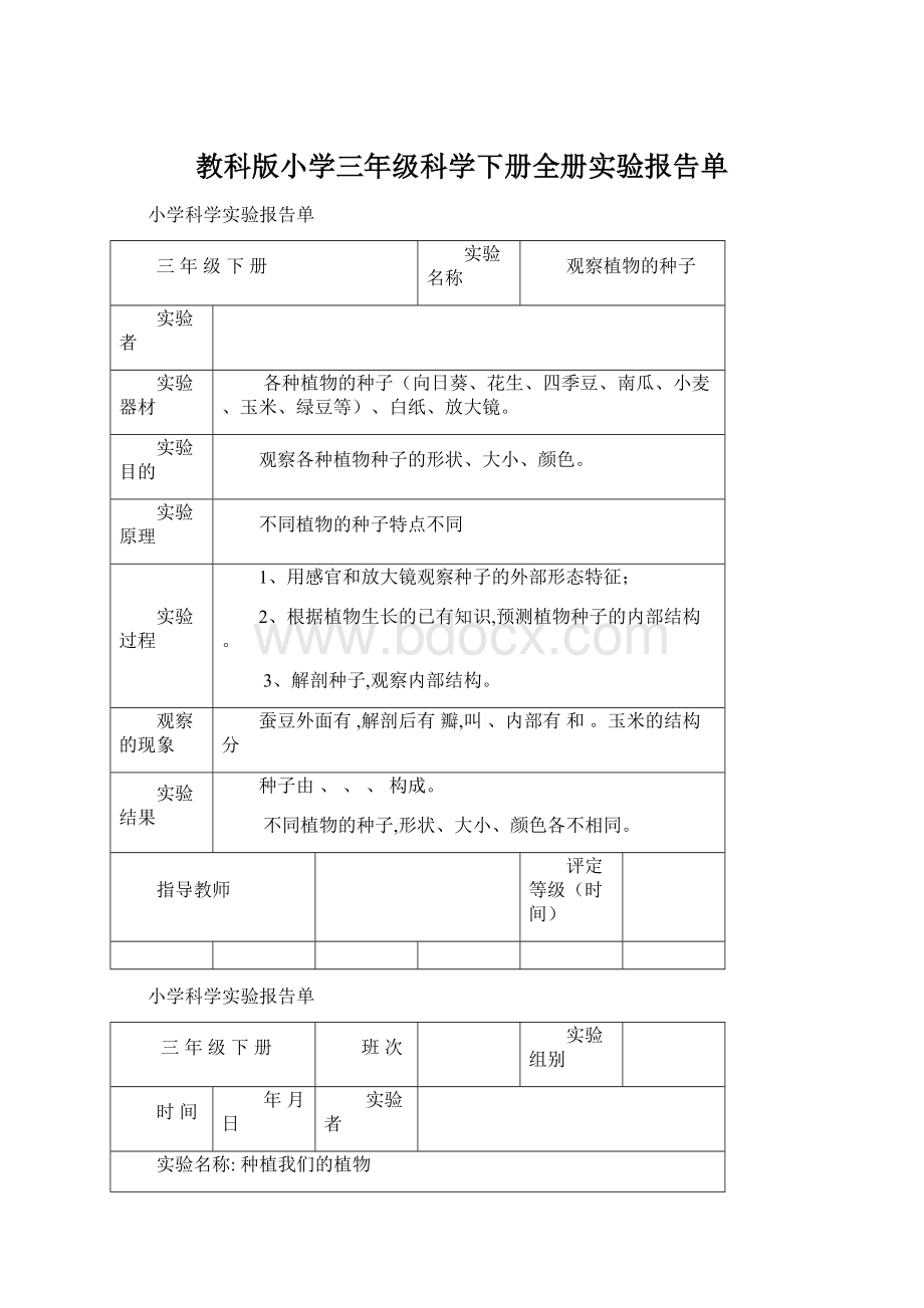 教科版小学三年级科学下册全册实验报告单.docx