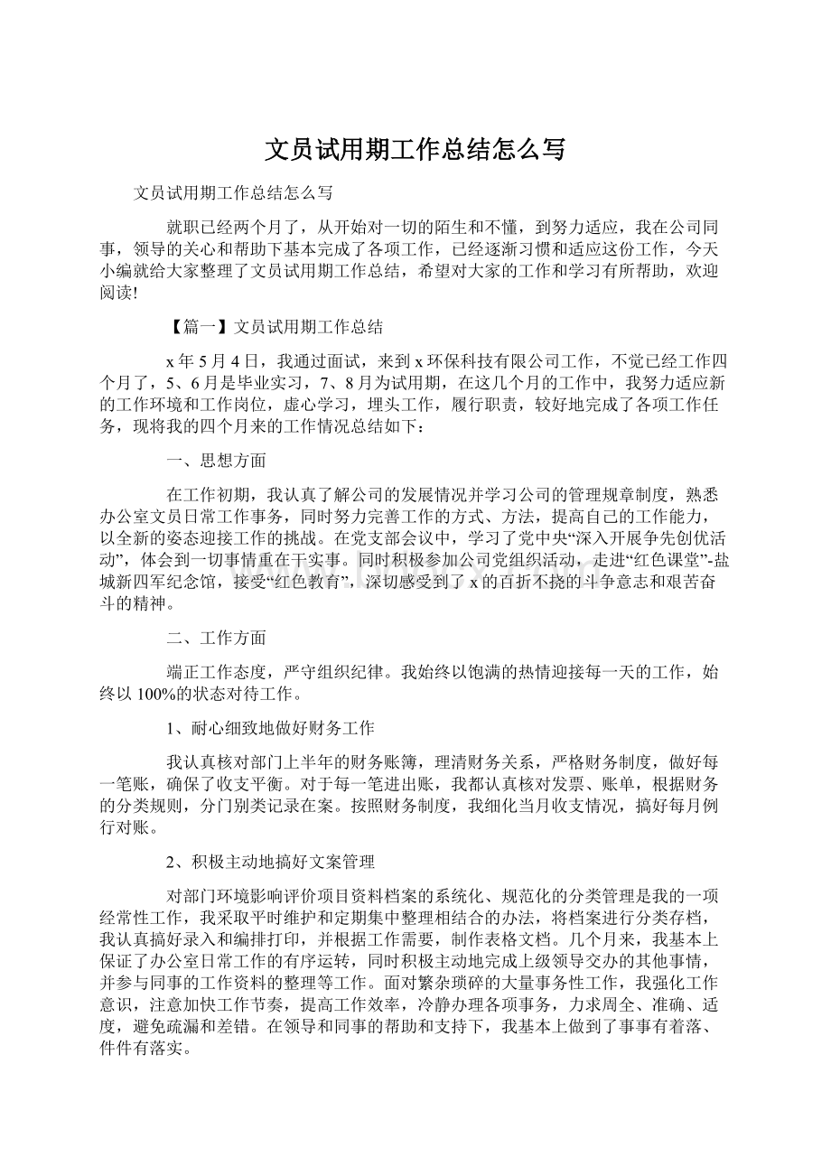 文员试用期工作总结怎么写文档格式.docx_第1页