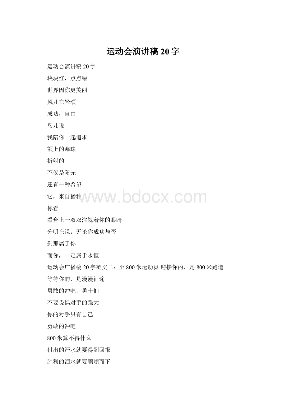 运动会演讲稿20字Word文档格式.docx