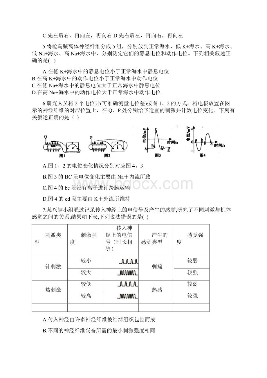 人教版生物 选择性必修一课时作业23 神经冲动的产生和传导能力提升.docx_第2页