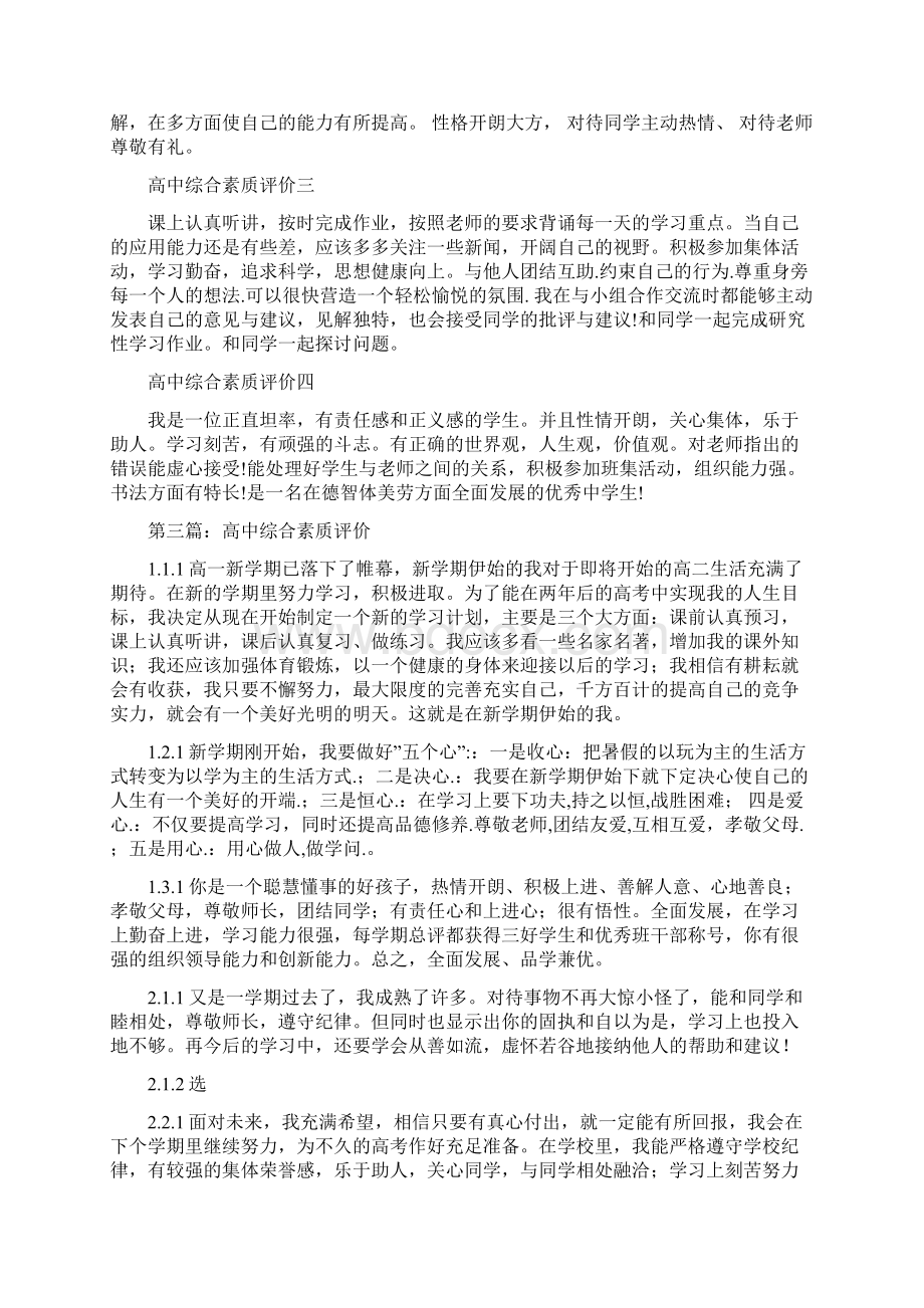 高中综合素质评价Word格式文档下载.docx_第2页