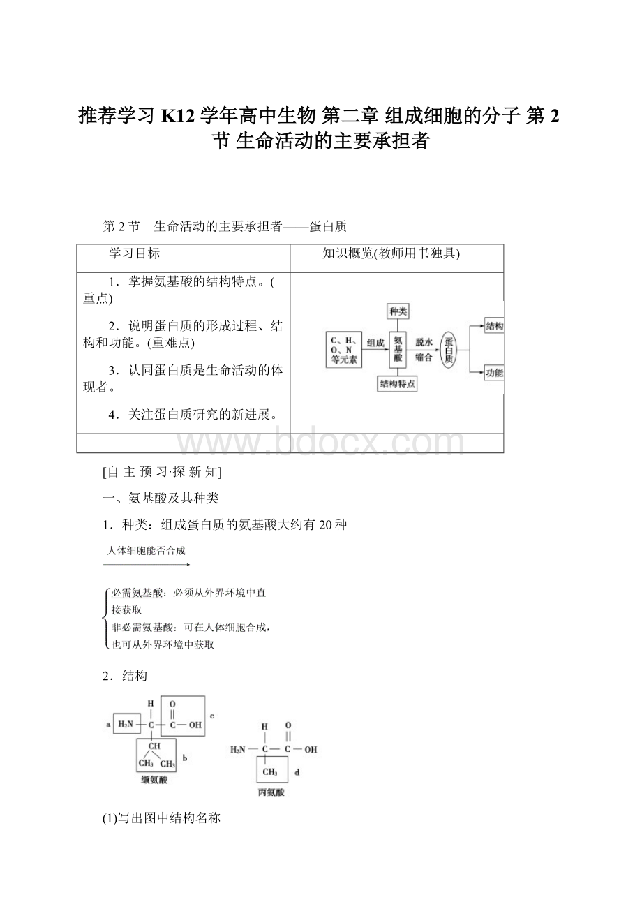 推荐学习K12学年高中生物 第二章 组成细胞的分子 第2节 生命活动的主要承担者Word文档下载推荐.docx