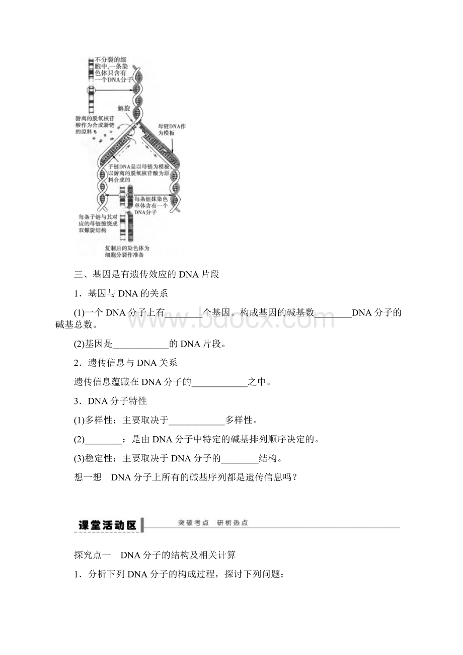 届高三生物大一轮复习 学案24DNA分子的结构Word格式.docx_第2页