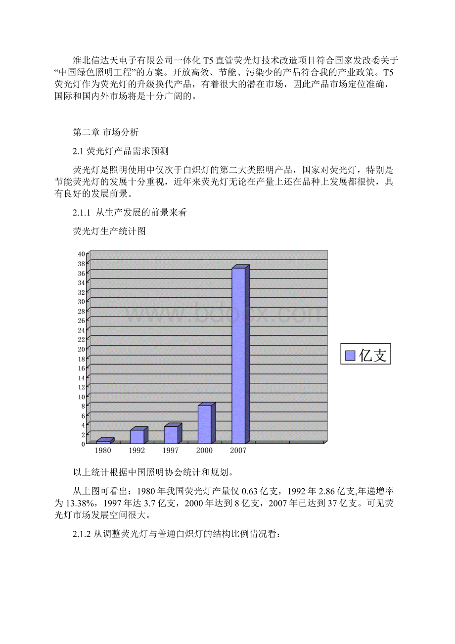 T5直管荧光灯生产项目建设可行性研究报告.docx_第2页