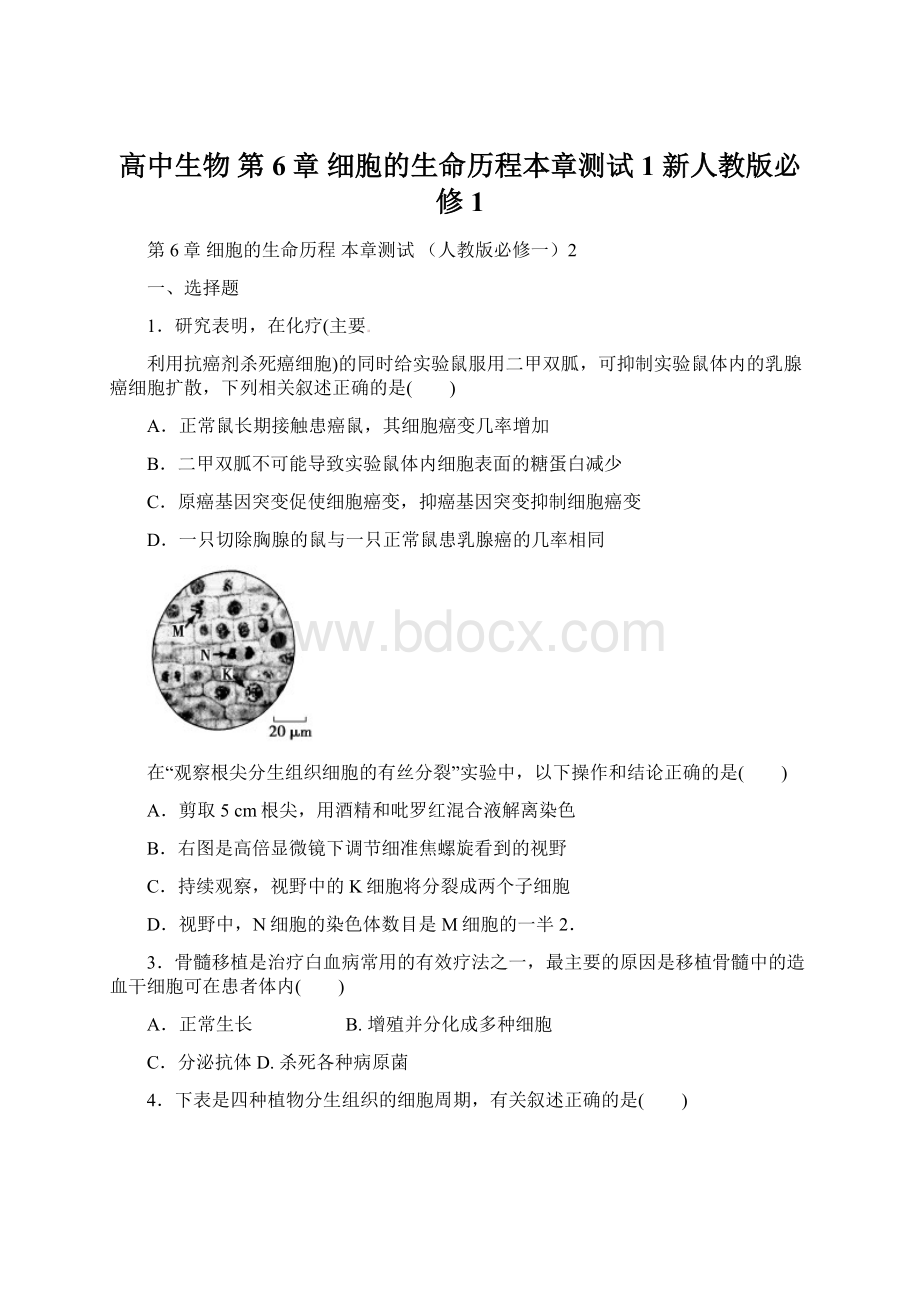 高中生物 第6章细胞的生命历程本章测试1 新人教版必修1.docx_第1页