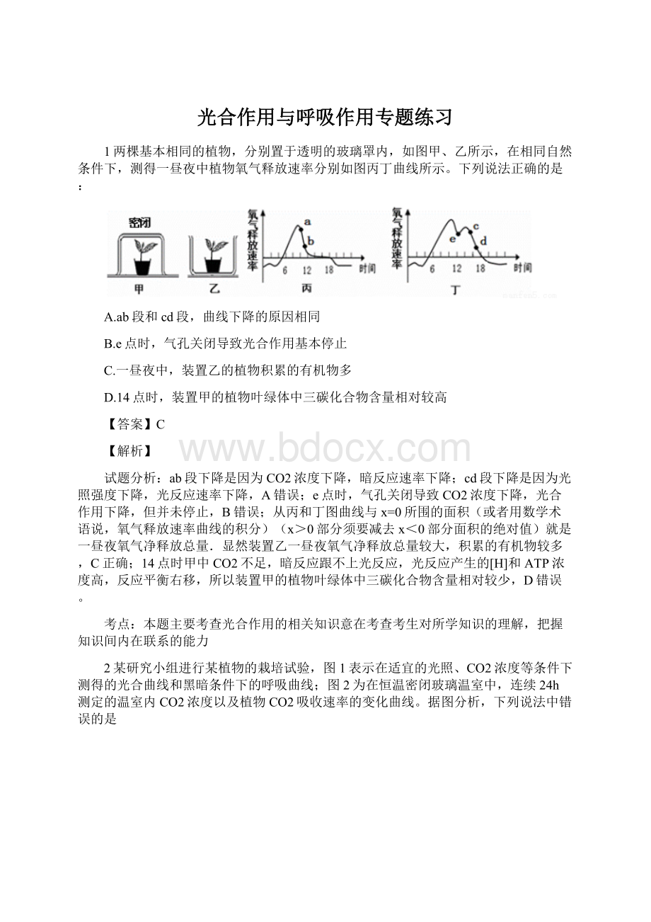 光合作用与呼吸作用专题练习Word文件下载.docx