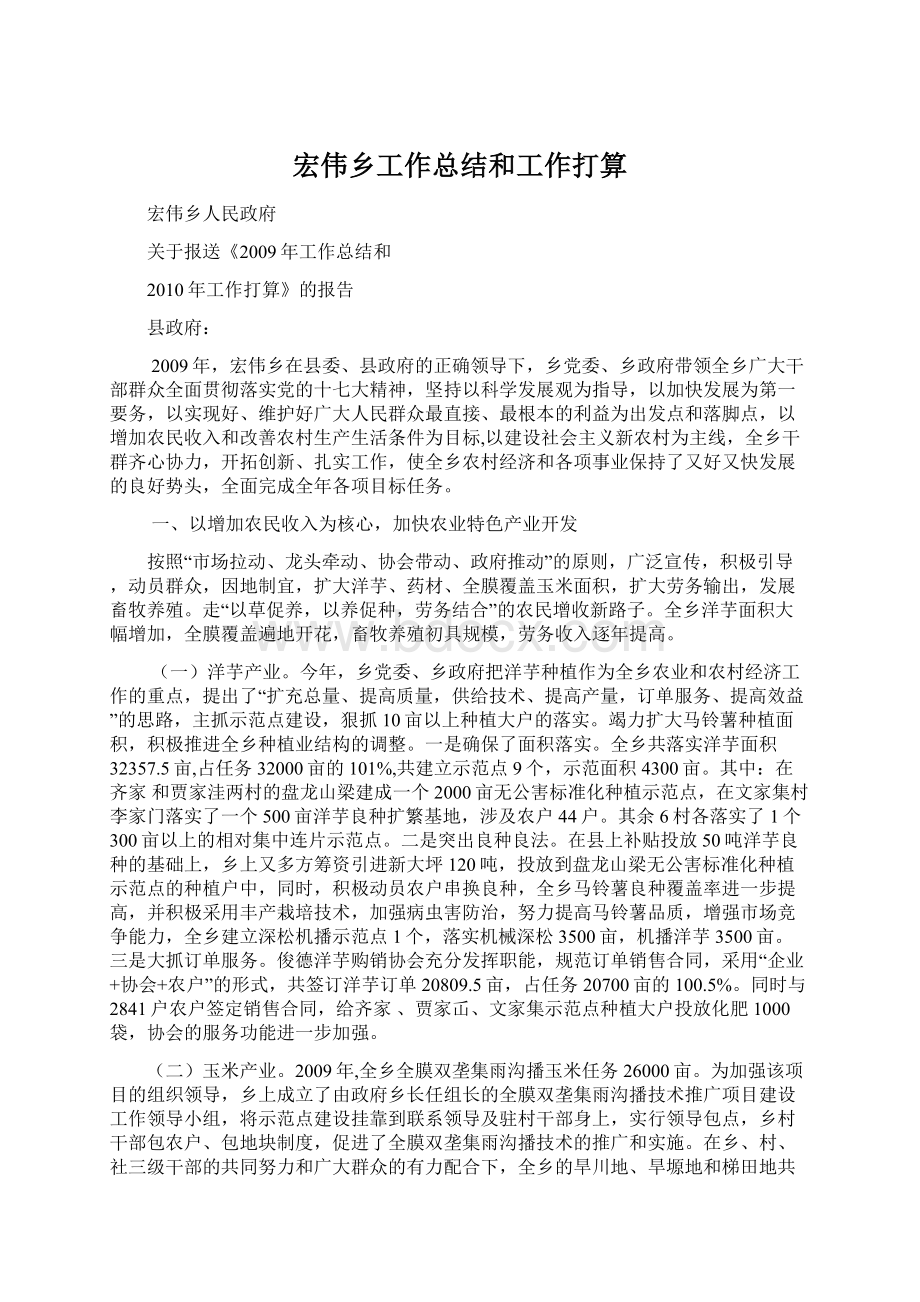 宏伟乡工作总结和工作打算Word文档格式.docx