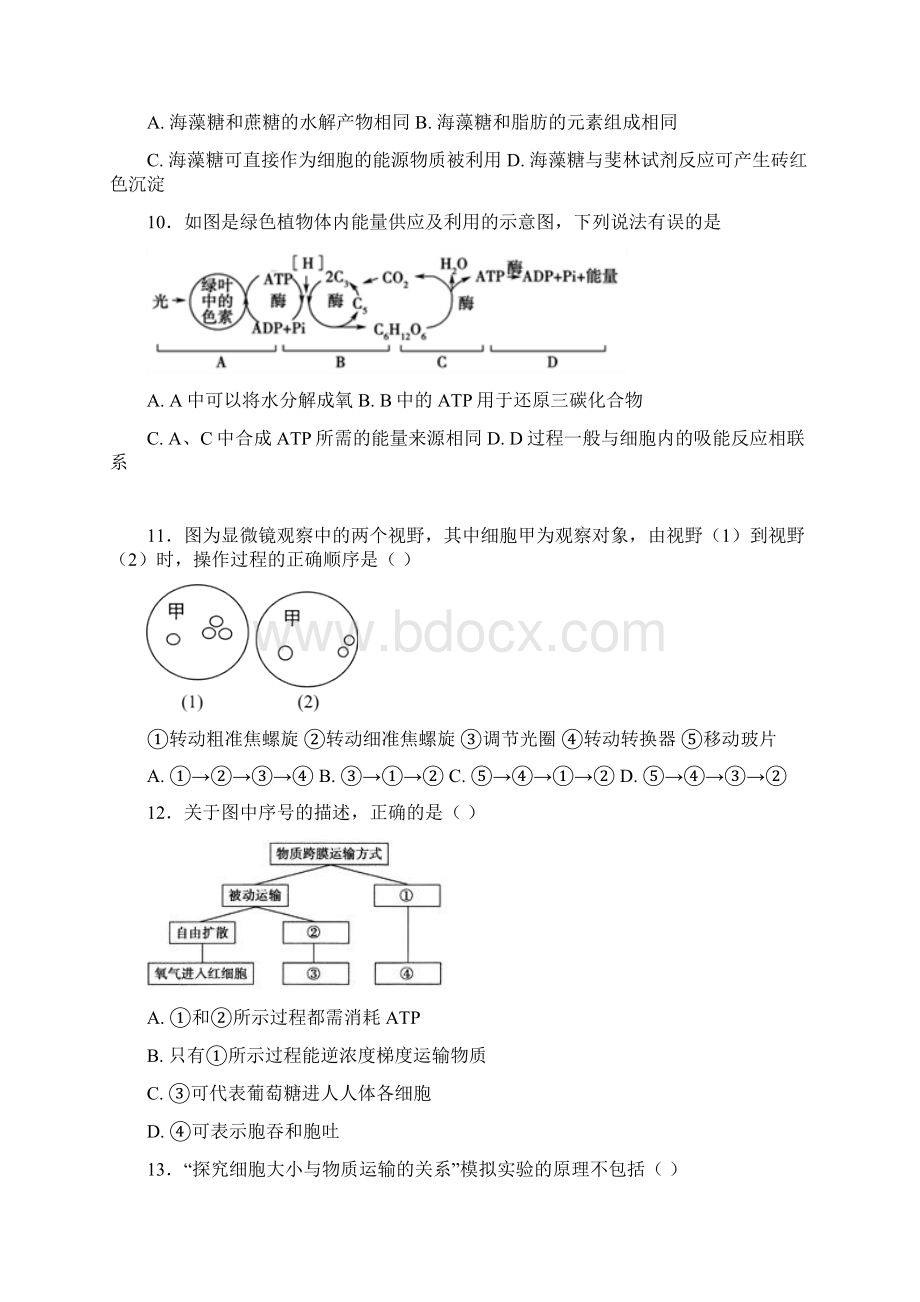 河南省商丘市第一高级中学学年高一上学期期末考试生物试题+Word版含答案Word格式文档下载.docx_第3页