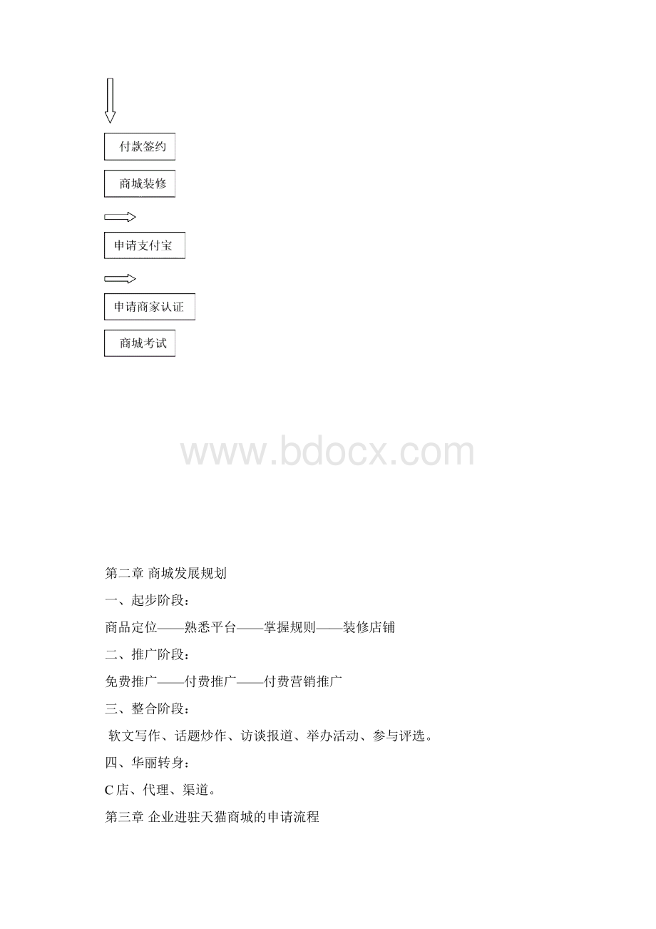 天猫淘宝商城运营计划方案Word文档格式.docx_第2页