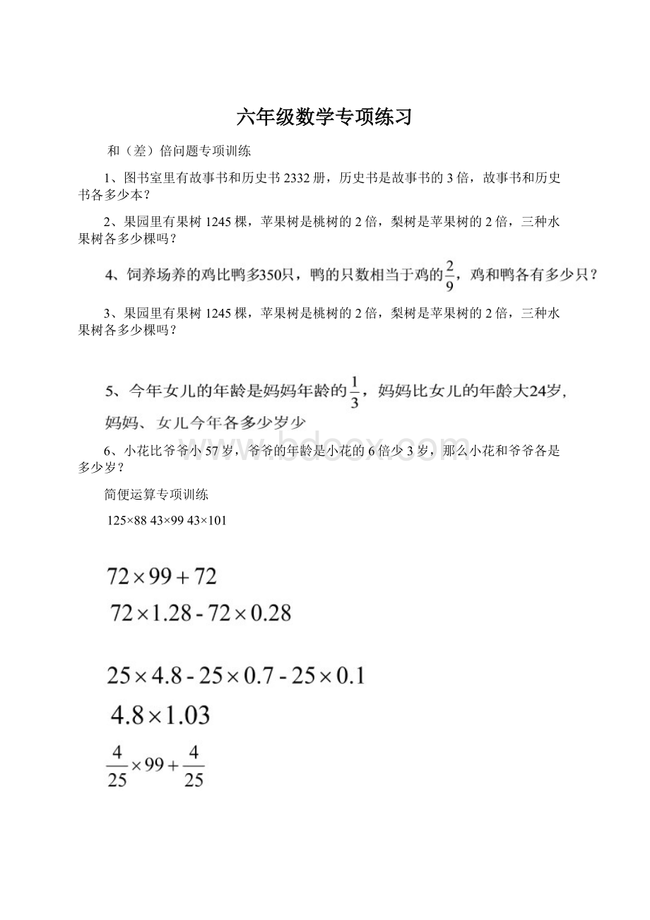 六年级数学专项练习Word格式.docx