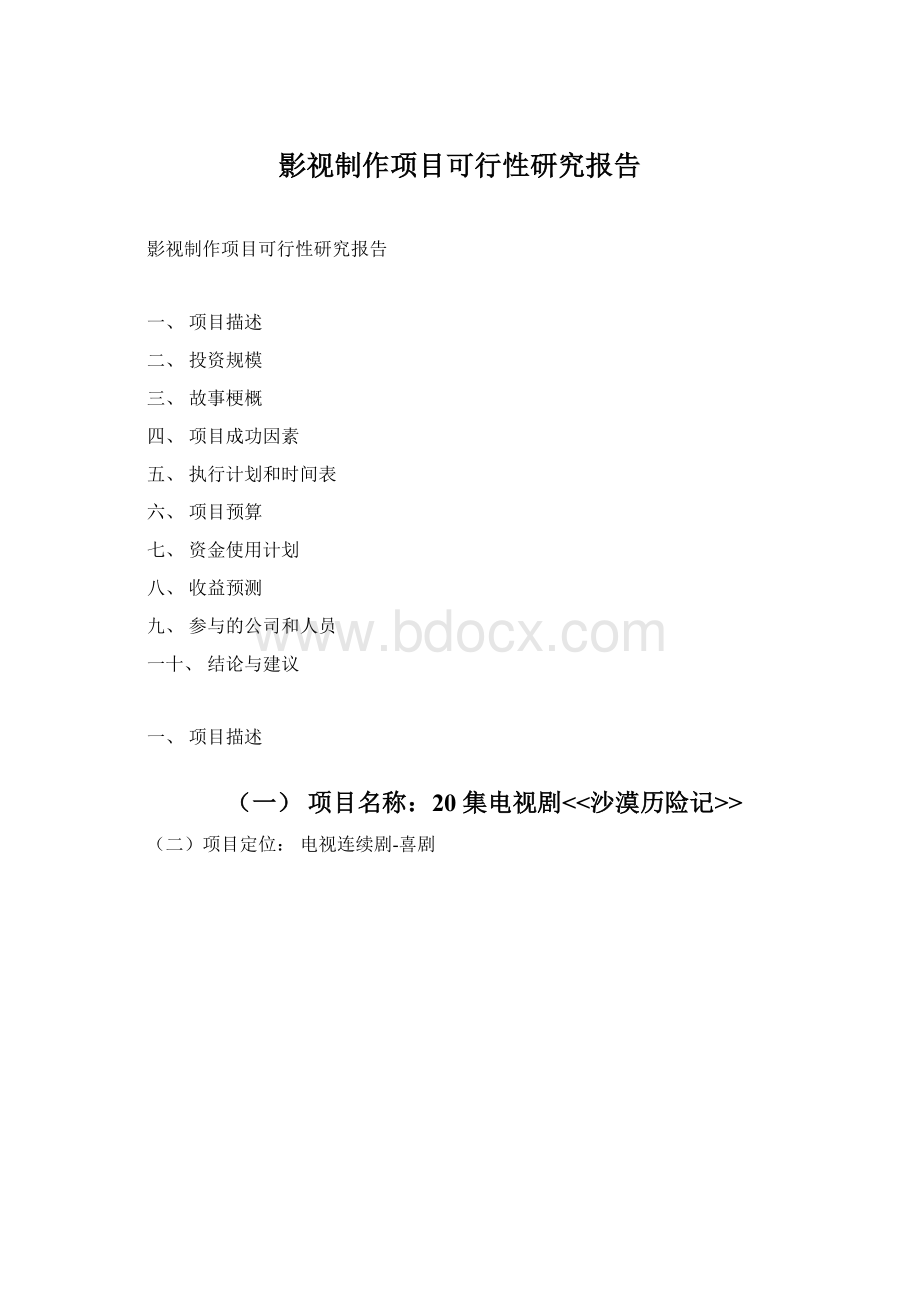 影视制作项目可行性研究报告Word格式.docx_第1页