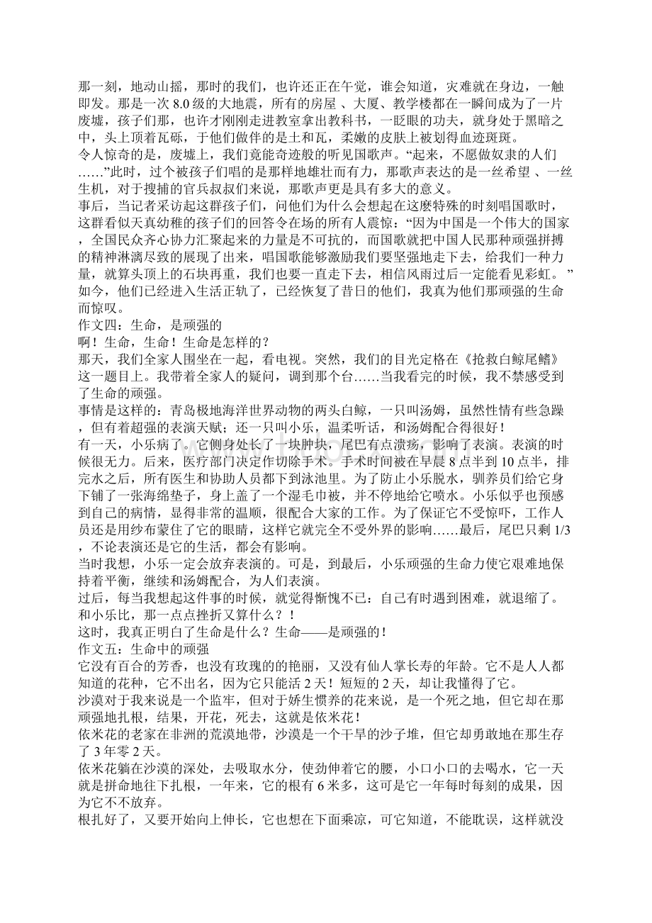 年关于生命顽强的作文Word文档格式.docx_第2页