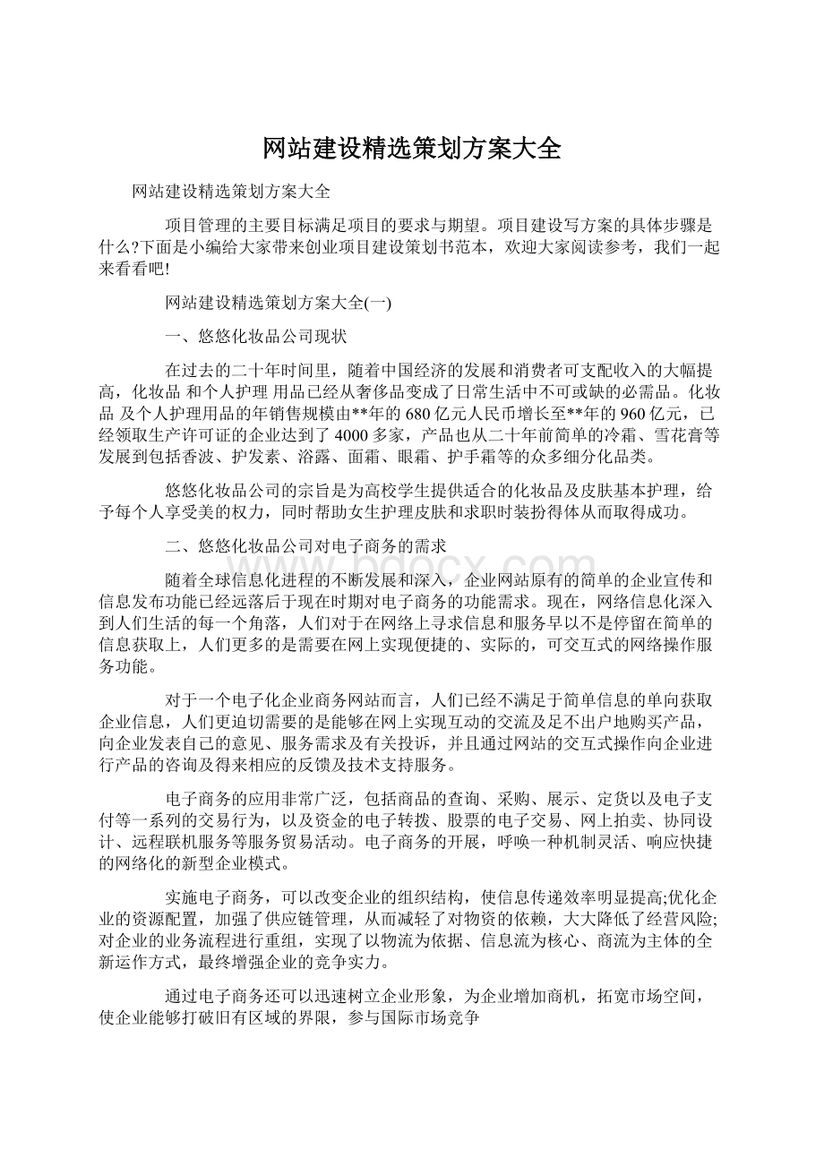 网站建设精选策划方案大全.docx