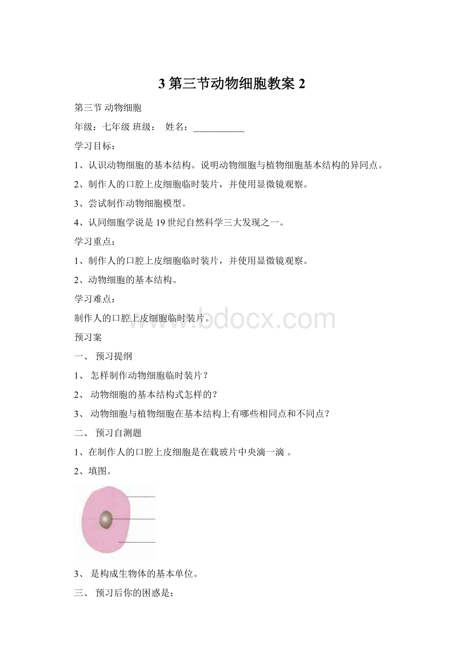 3第三节动物细胞教案2Word文件下载.docx_第1页